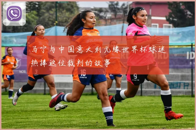 马宁与中国意大利无缘世界杯球迷热捧这位裁判的故事